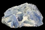 Vibrant Blue Kyanite Crystal Cluster - Brazil #95587-1
